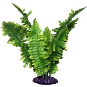Komodo Silkkikasvi Boston Fern 25 cm
