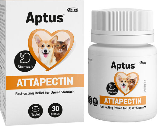 Aptus Attapectin 30tbl