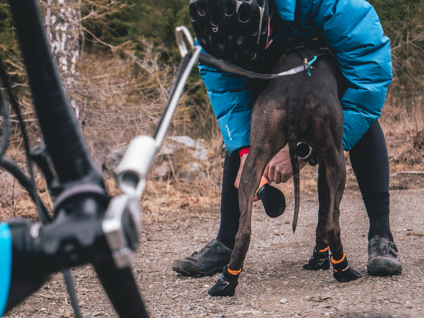 Non-stop Protector bootie - koiran tossut