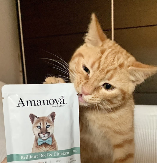 Amanova Cat Adult Nauta & kana 85g