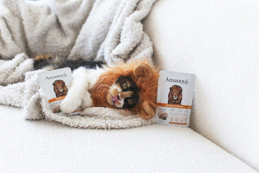 Amanova Cat Adult Sterilised kana 85g