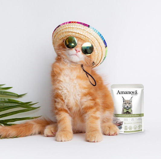 Amanova Cat Adult Sterilised lammas & sardiini 85g