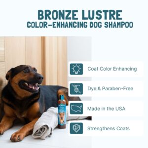 Bio-Groom Bronze Lustre shampoo 355ml
