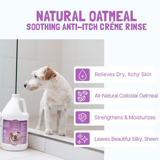 Bio-Groom Natural Oatmeal Anti-Itch hoitoaine 355ml