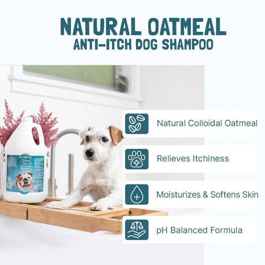 Bio-Groom Natural Oatmeal Anti-Itch shampoo 355ml