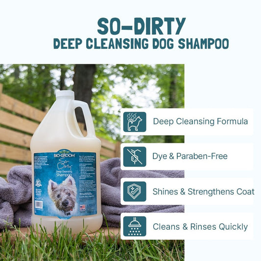 Bio-Groom So-Dirty shampoo 355ml