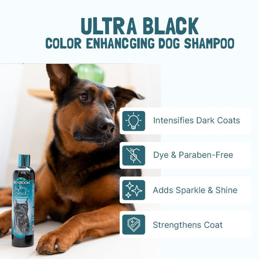 Bio-Groom Ultra Black shampoo 355ml