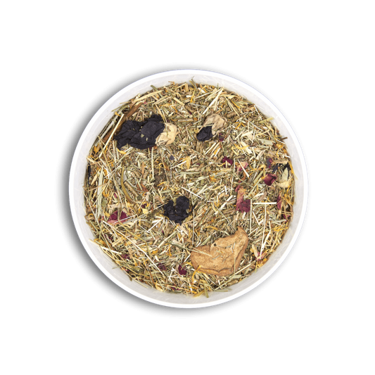 Cunipic Vetline tukiruoka marsun suolisto-ongelmiin 1,4kg