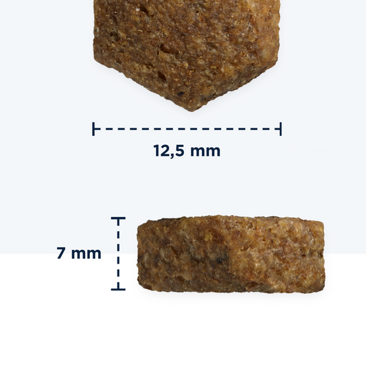 Eukanuba Veterinary Diets Intestinal