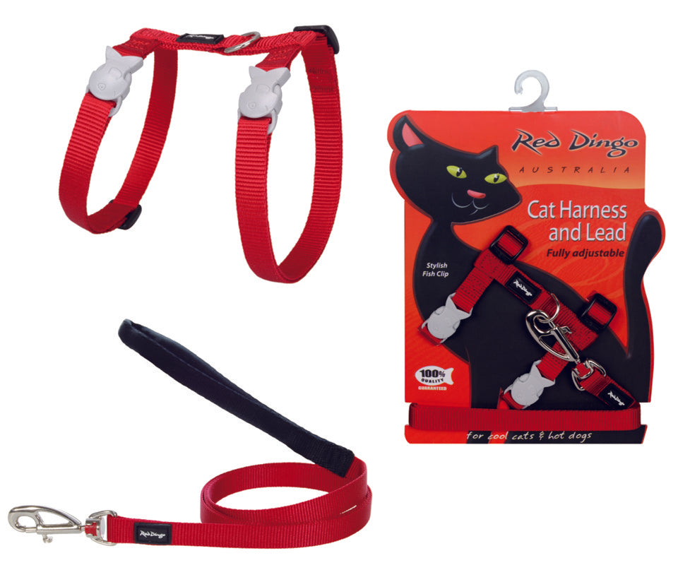 Red Dingo kissan valjas + talutin Classic, punainen