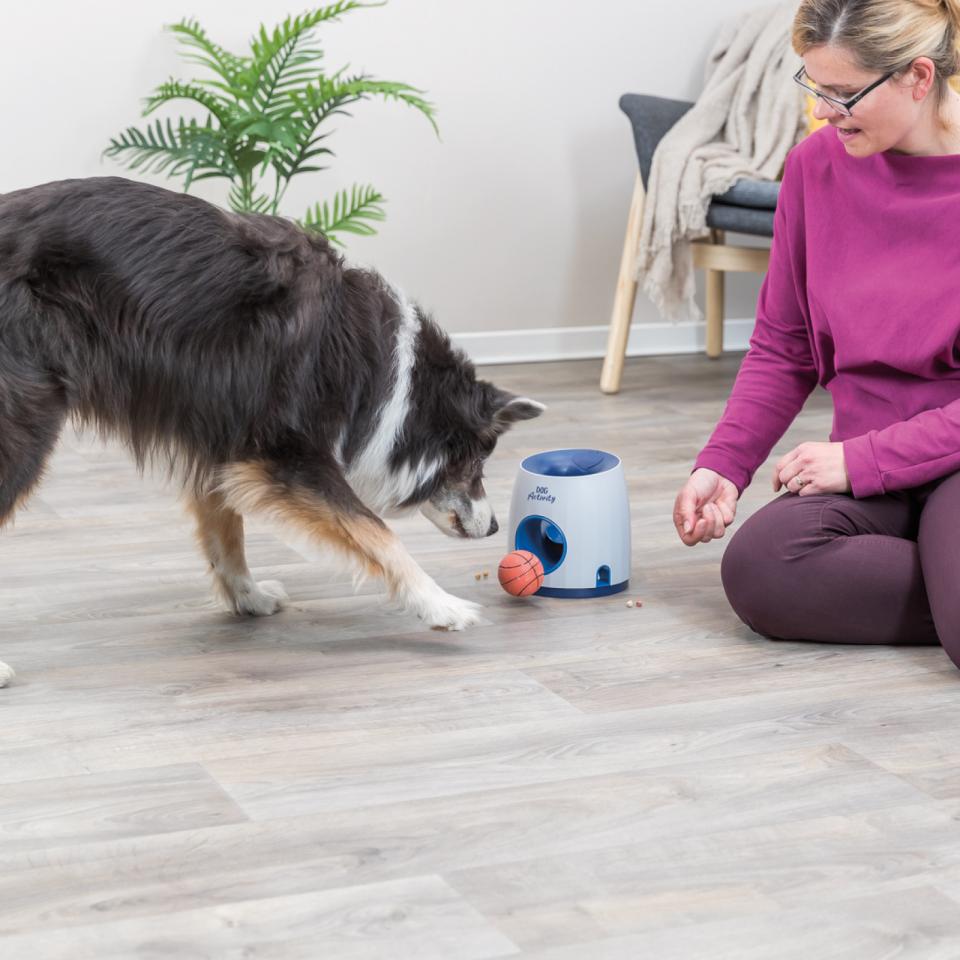 Trixie Ball&Treat aktivointilelu