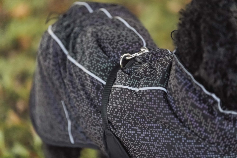 Trixie Limoux heijastava sadetakki koiralle