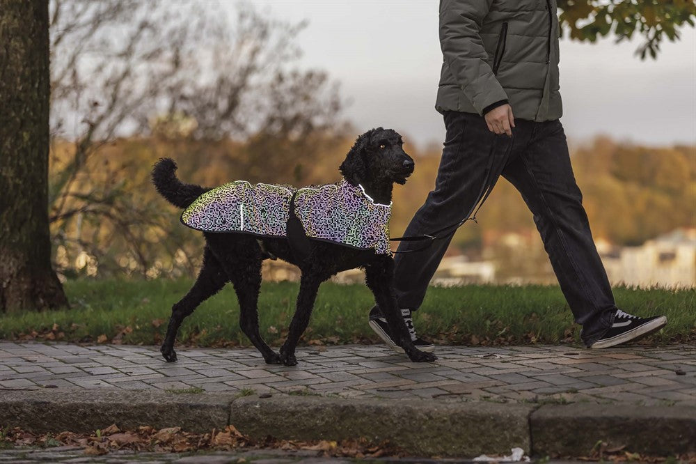 Trixie Limoux heijastava sadetakki koiralle
