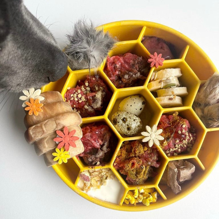 Sodapup Honeycomb ahmimisenestokuppi - keltainen