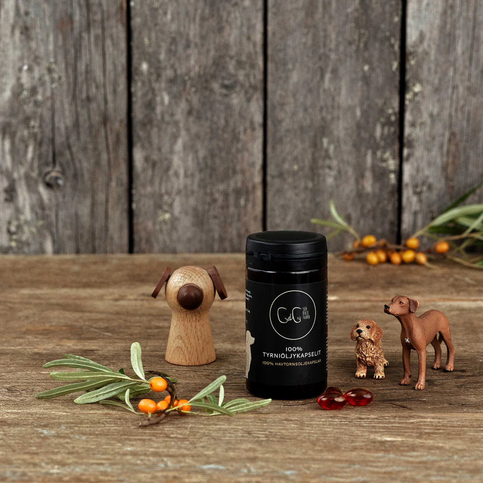 Chia de Gracia Sea buckthorn - Tyrniöljykapselit koirille