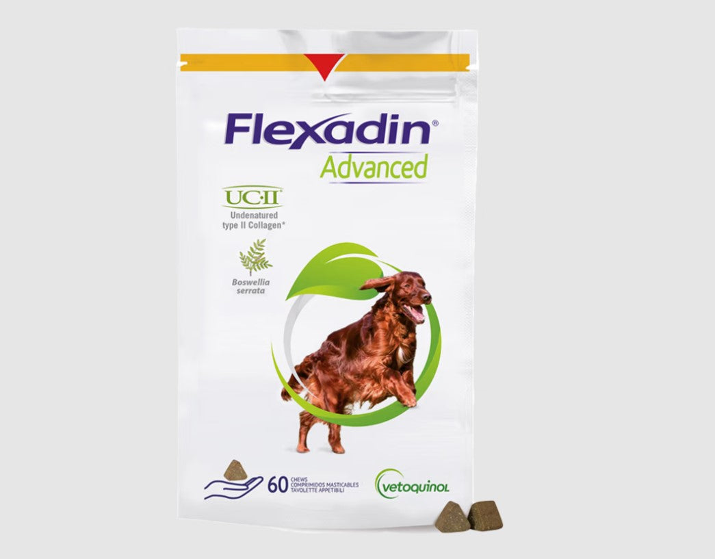 Flexadin advanced 60tbl koiralle