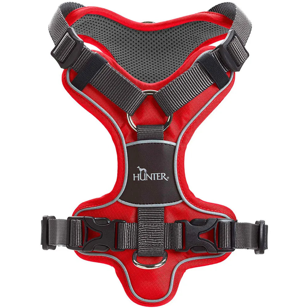 Hunter koiran valjas Divo