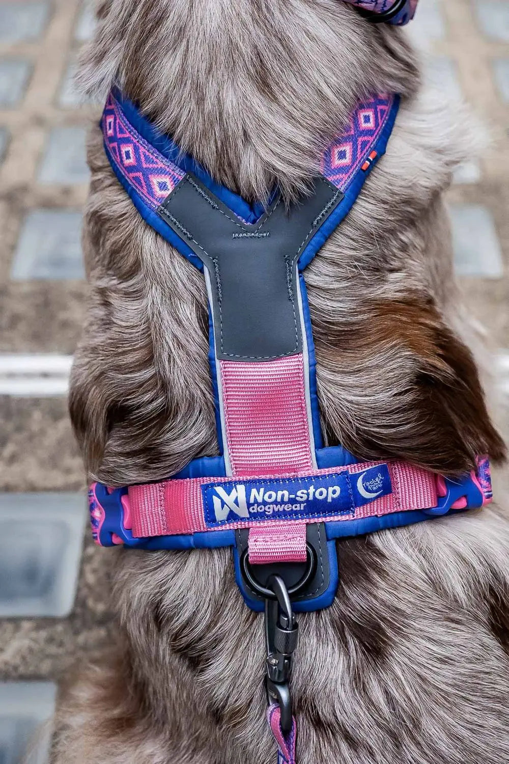 Non-stop Line Harness 5.0 Rachel Pohl Edition - Teal/Oak