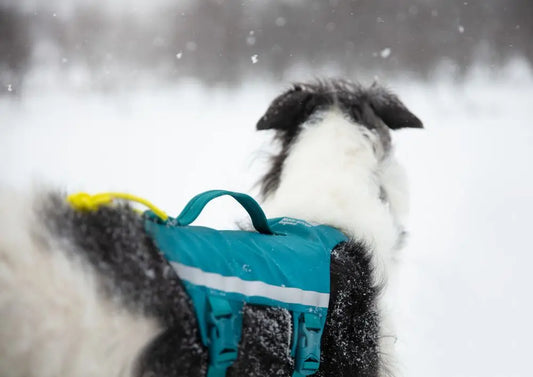 Non-stop Ramble Harness Long - Sinivihreä