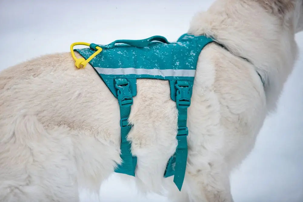Non-stop Ramble Harness Long - Sinivihreä