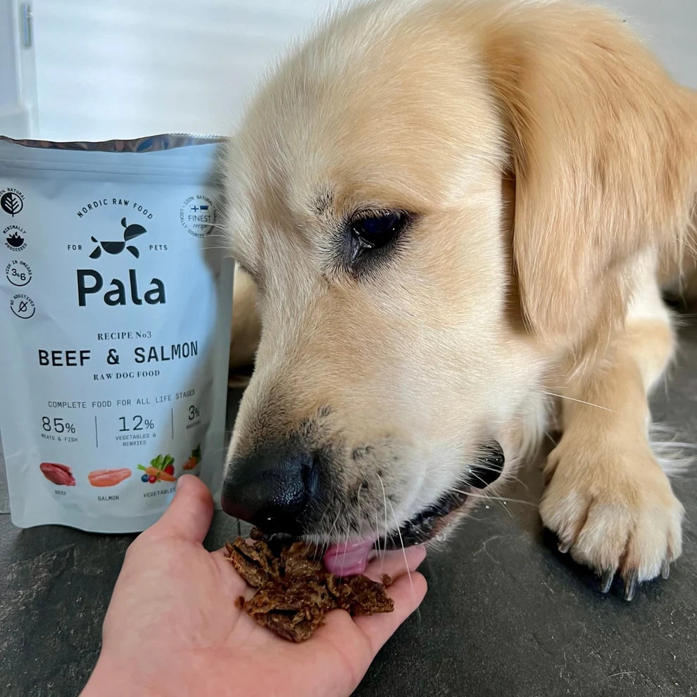 Pala Recipe # 3 – Nauta & Lohi, 100g