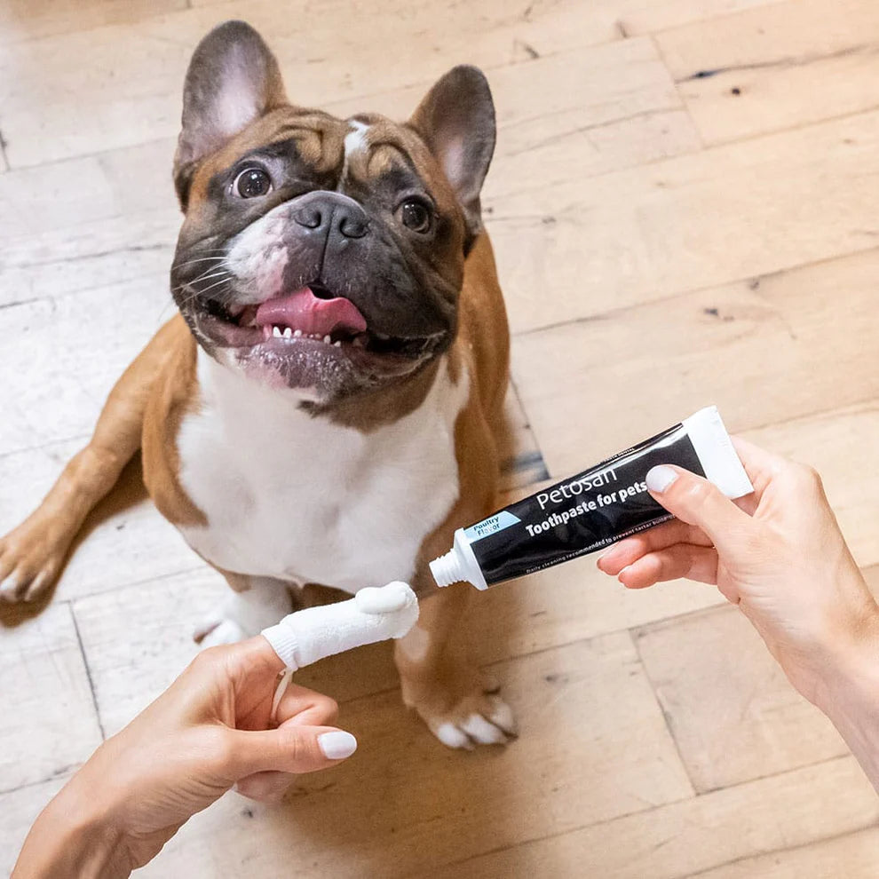 Petosan mikrokuituinen hammaspuhdistaja Oral Cleaner, 1kpl
