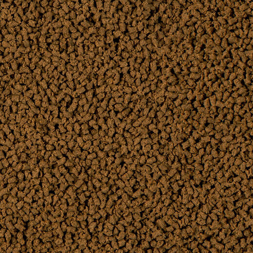 Sera Insect Nature 100ml