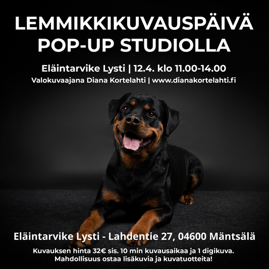 Lemmikkikuvauspäivä lauantaina 12.4. klo 11-14