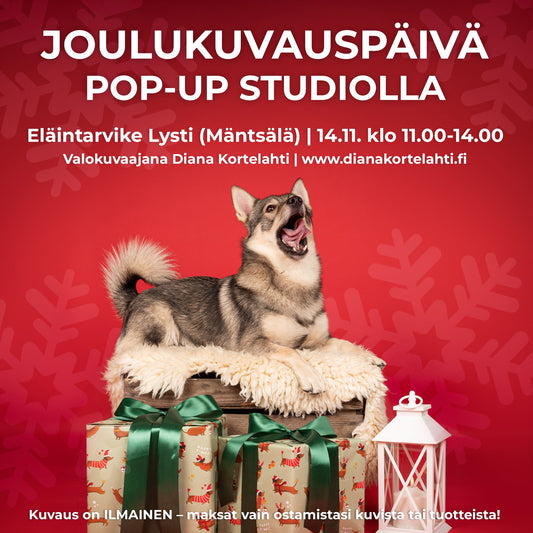 Joulukuvauspäivä lauantaina 14.11. klo 11-14