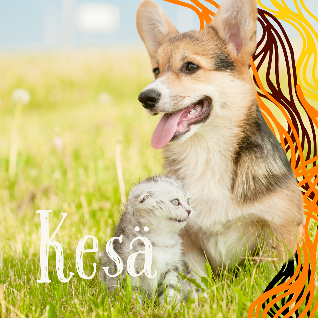 Kesä