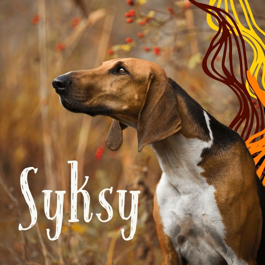 Syksy
