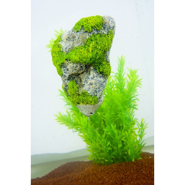 Terraario ja akvaario