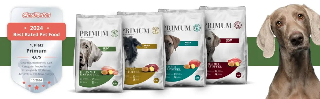 Primum