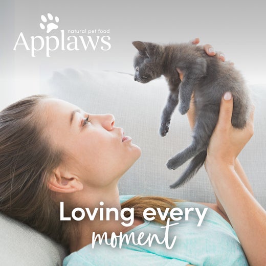 Applaws pentu - kitten Tonnikala 70g purkki