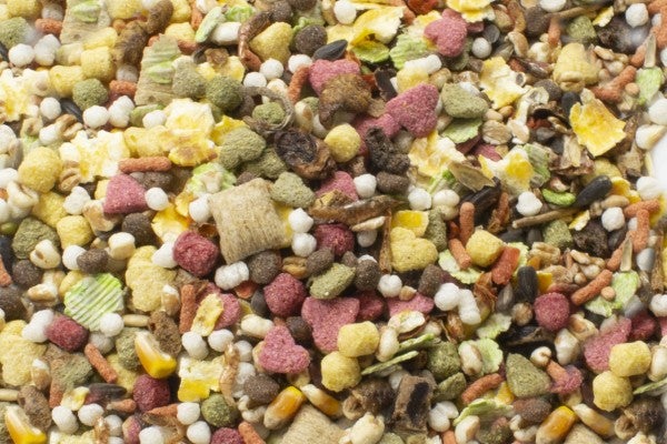 JR Farm täysrehu rotille 600g