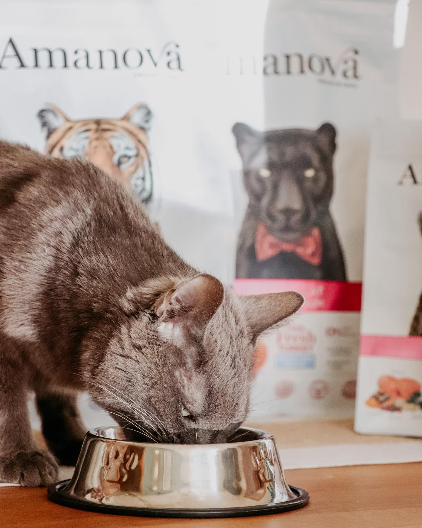 Amanova Cat Adult Grain Free Kalkkuna&Kurpitsa