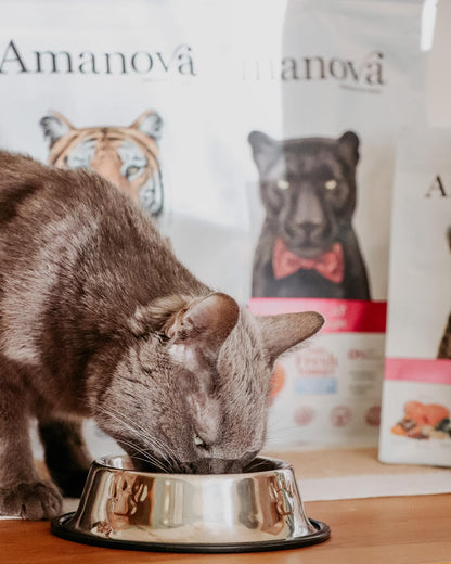 Amanova Cat Adult Grain Free Kalkkuna&Kurpitsa