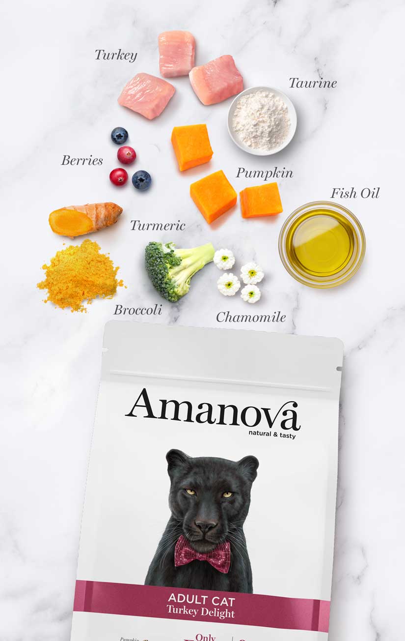 Amanova Cat Adult Grain Free Kalkkuna&Kurpitsa