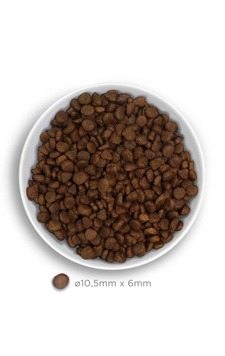 Amanova Cat Adult Grain Free Kalkkuna&Kurpitsa