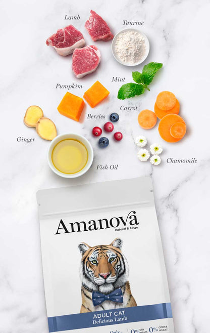 Amanova Cat Adult Grain Free Lammas&Kurpitsa
