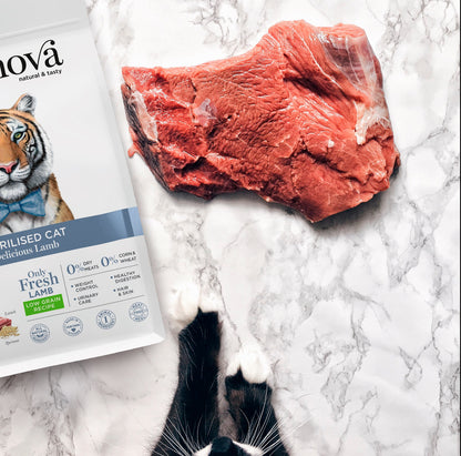 Amanova Cat Sterilised Low Grain Lammas&Kvinoa