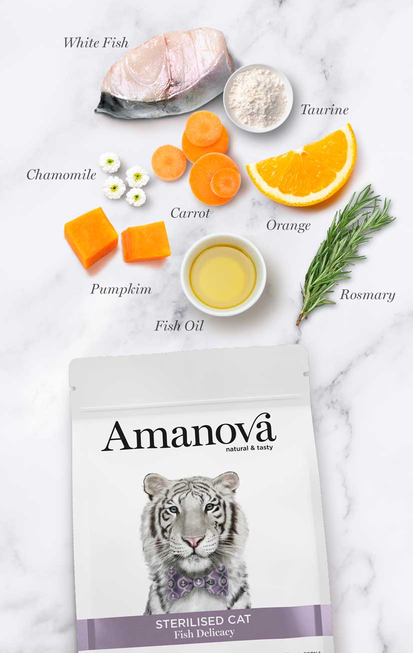 Amanova Cat Grain Free Valkoinen Kala&Kurpitsa