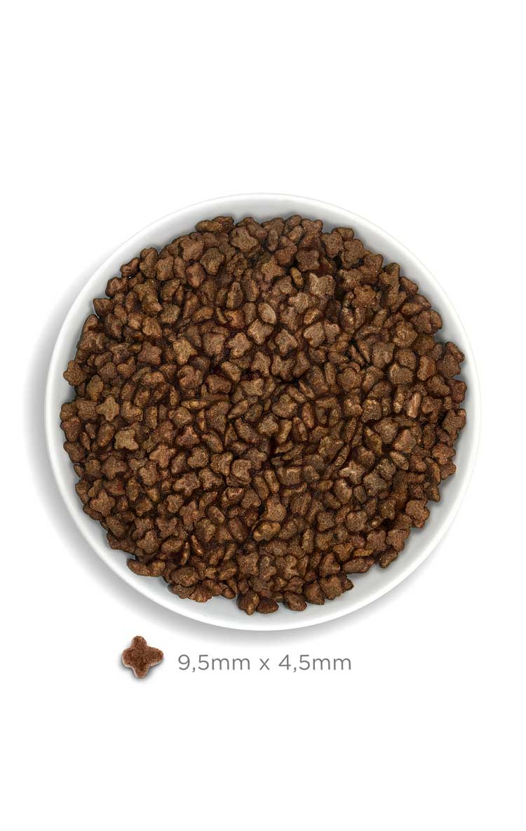 Amanova Cat Kitten Low Grain Kana&Kvinoa