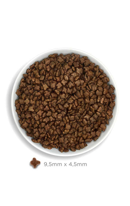 Amanova Cat Kitten Low Grain Kana&Kvinoa