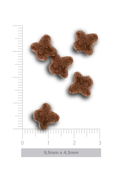 Amanova Cat Kitten Low Grain Kana&Kvinoa