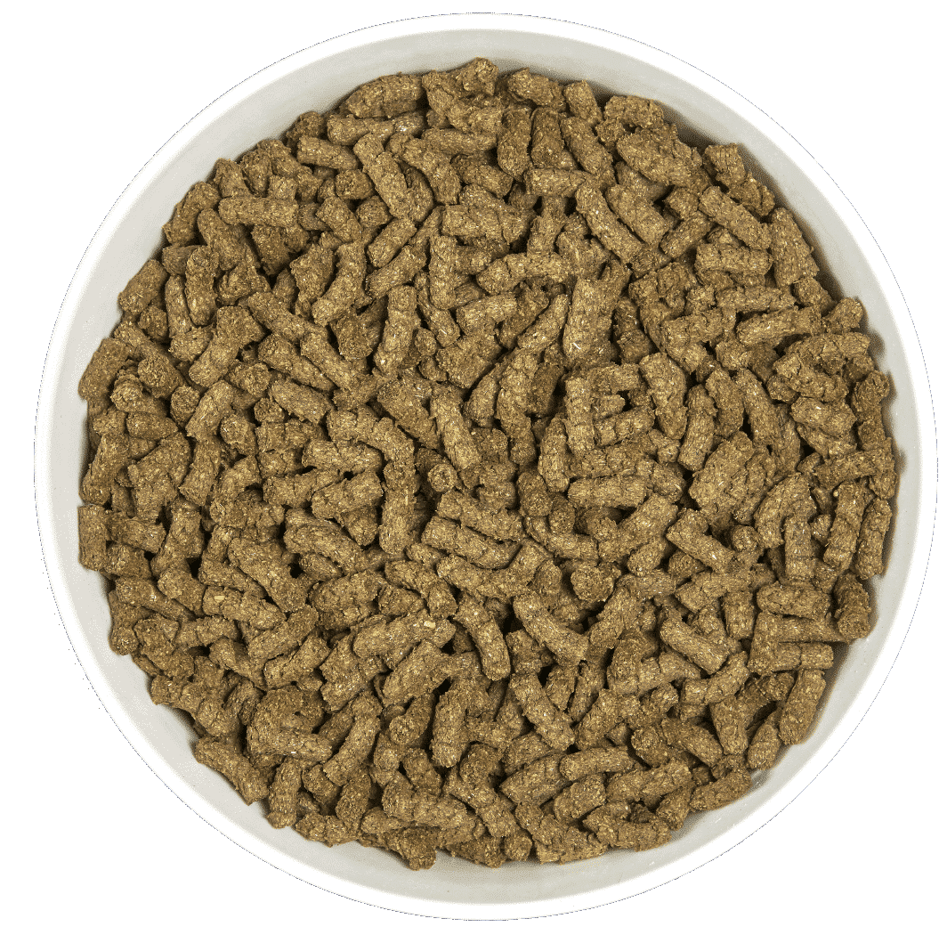 Cunipic Alpha Pro Chinchilla & Degu, 500g