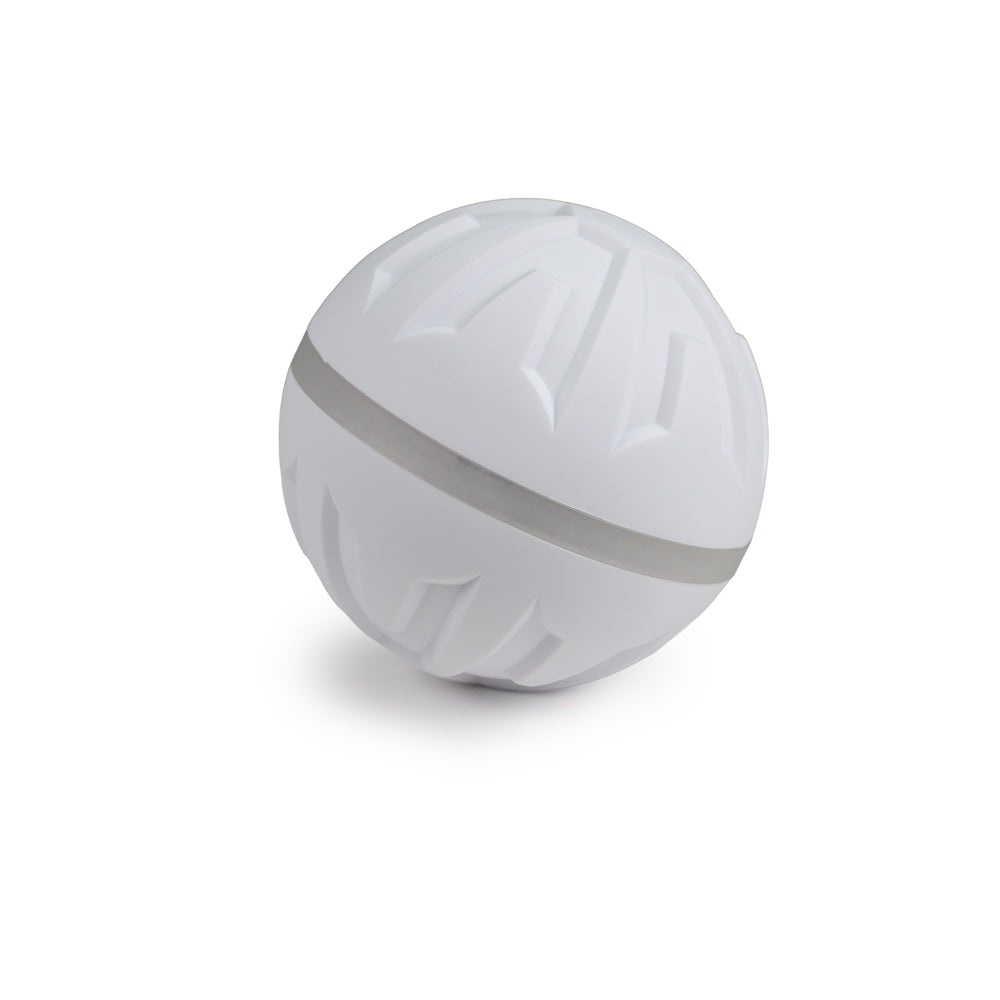 Ebi interaktiivinen Boogie pallo