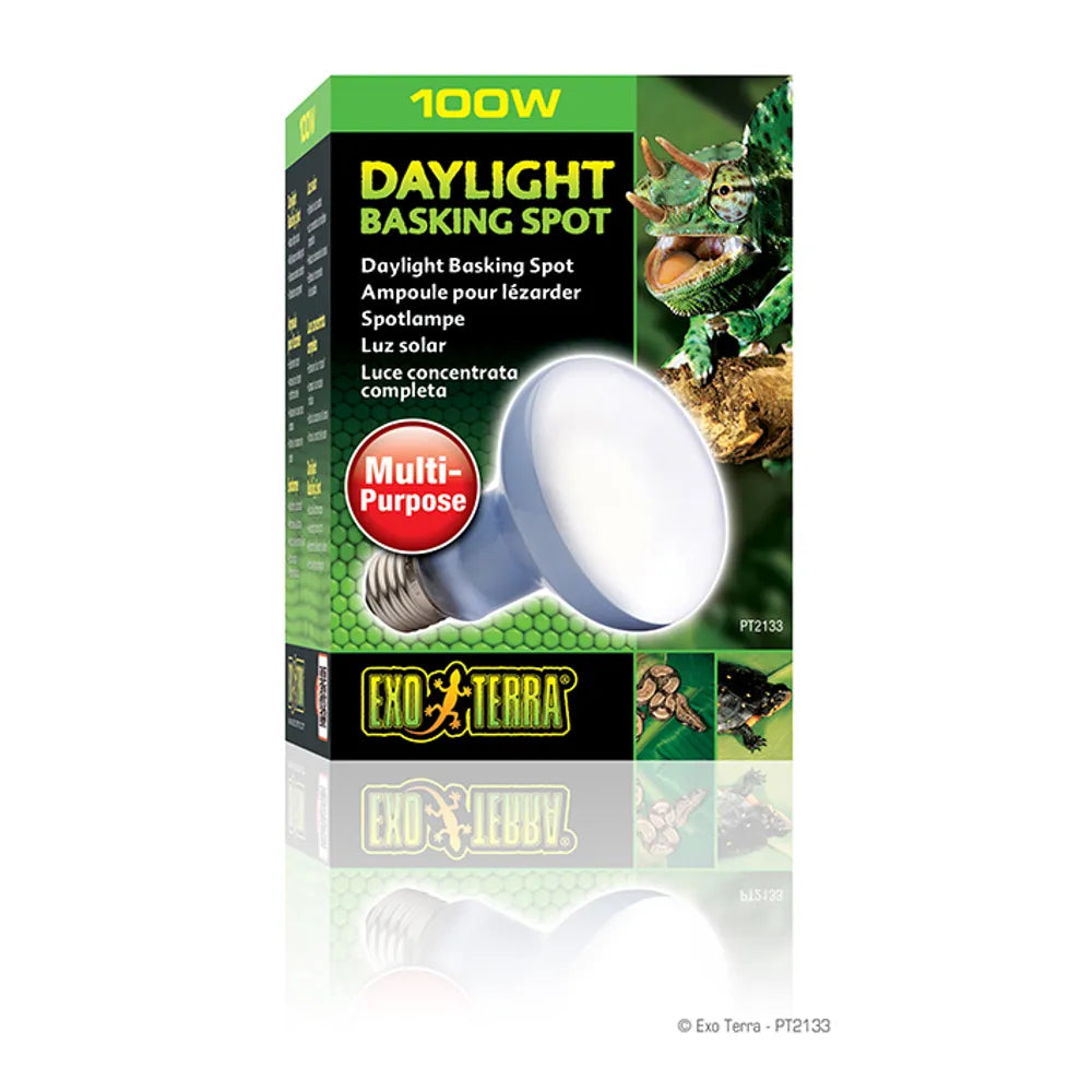 Exoterra Daylight Basking Spot 100w R25 E27