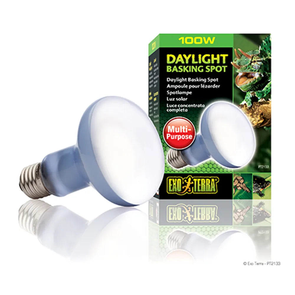 Exoterra Daylight Basking Spot 100w R25 E27