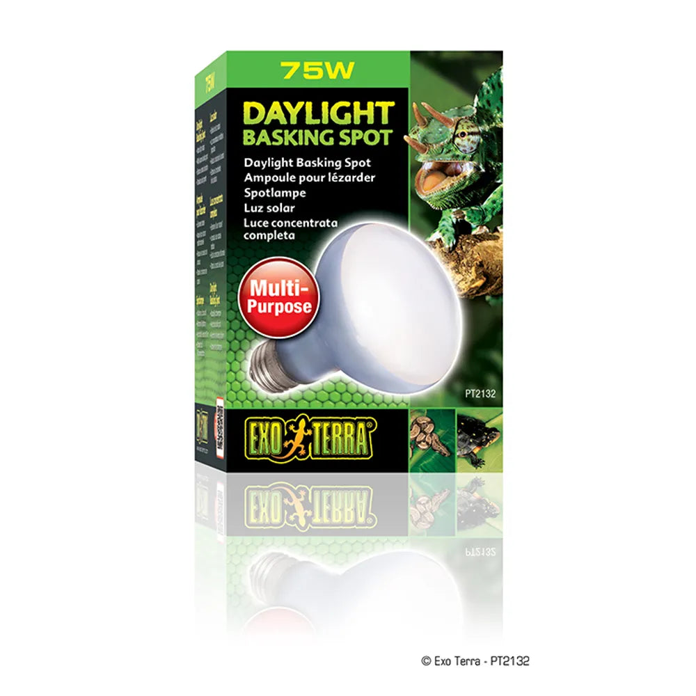 Exoterra Daylight Basking Spot 75w R20 E27